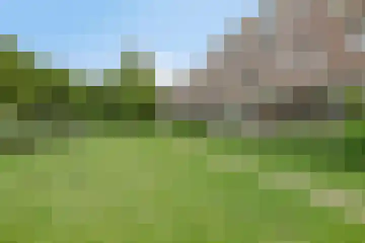 Barbadosstraat 80 Purmerend thumbnail 49