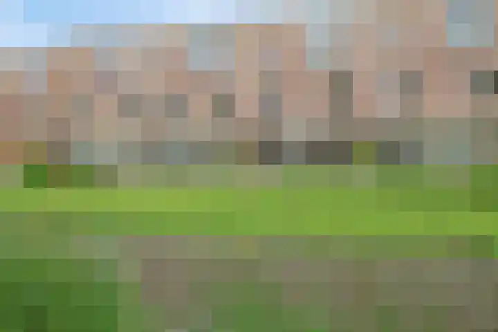 Barbadosstraat 80 Purmerend thumbnail 51