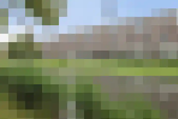 Barbadosstraat 80 Purmerend thumbnail 57