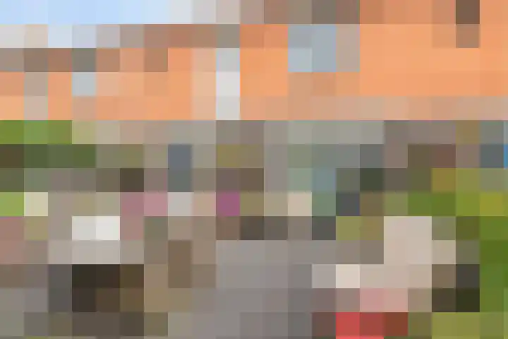 Barbadosstraat 80 Purmerend thumbnail 7
