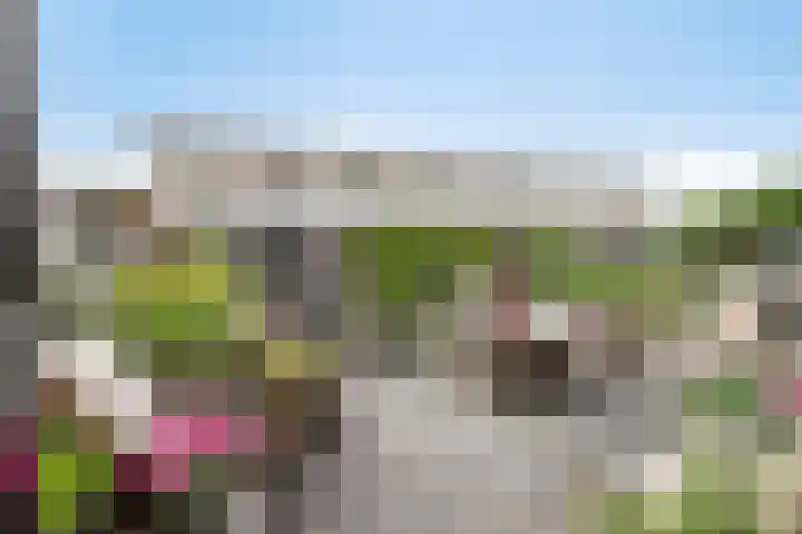 Barbadosstraat 80 Purmerend thumbnail 9