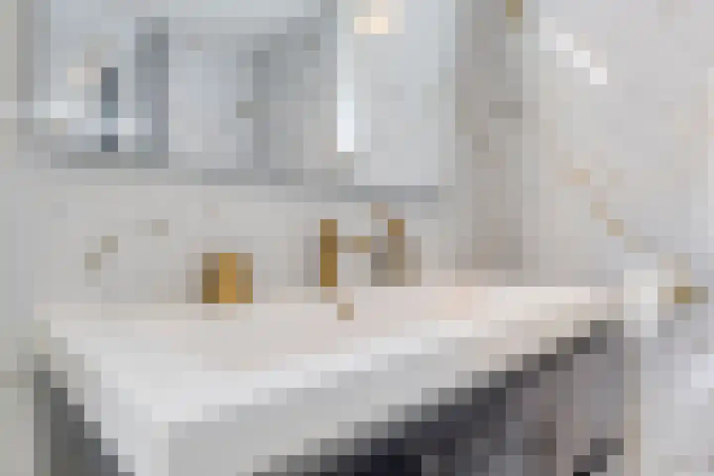Barbadosstraat 98 Purmerend thumbnail 22