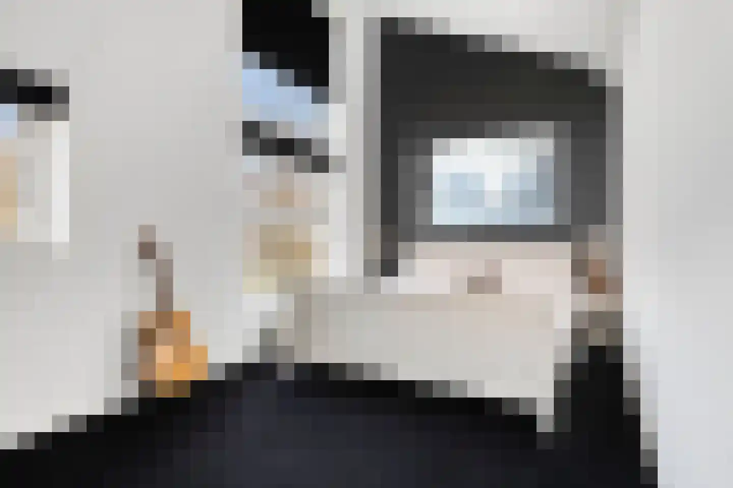 Barbadosstraat 98 Purmerend thumbnail 24