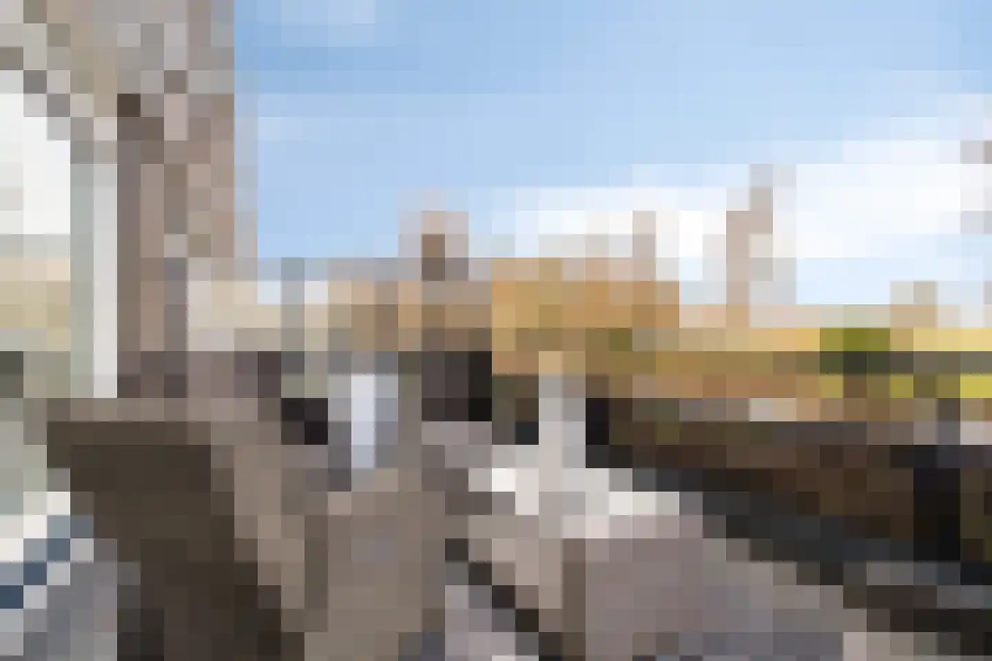 Barbadosstraat 98 Purmerend thumbnail 31