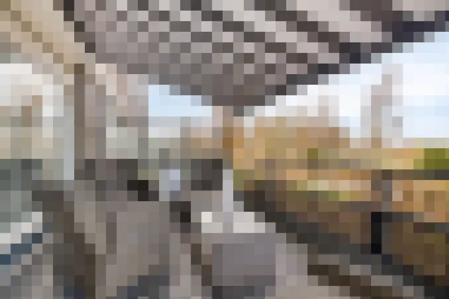 Barbadosstraat 98 Purmerend thumbnail 32