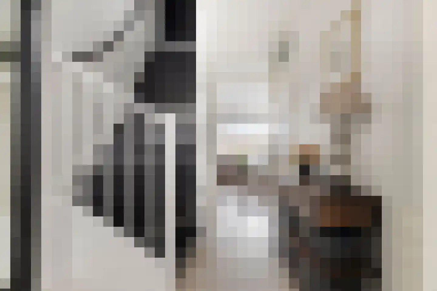 Barbadosstraat 98 Purmerend thumbnail 8