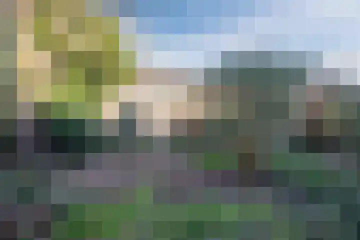 Barbaradal 12 Valkenswaard thumbnail 20