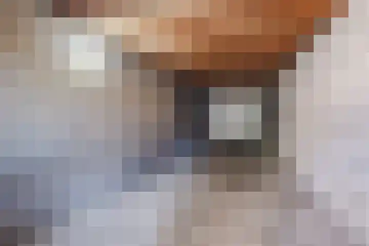 Barbaradal 12 Valkenswaard thumbnail 23
