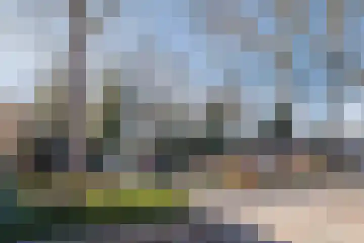 Barbaradal 12 Valkenswaard thumbnail 25