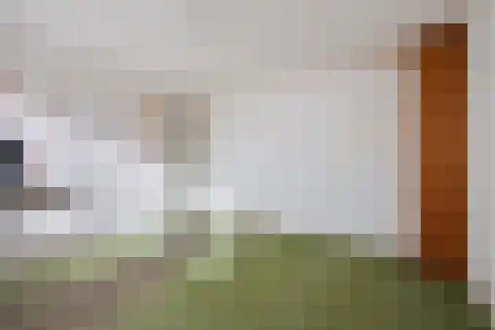 Barbaradal 12 Valkenswaard thumbnail 9