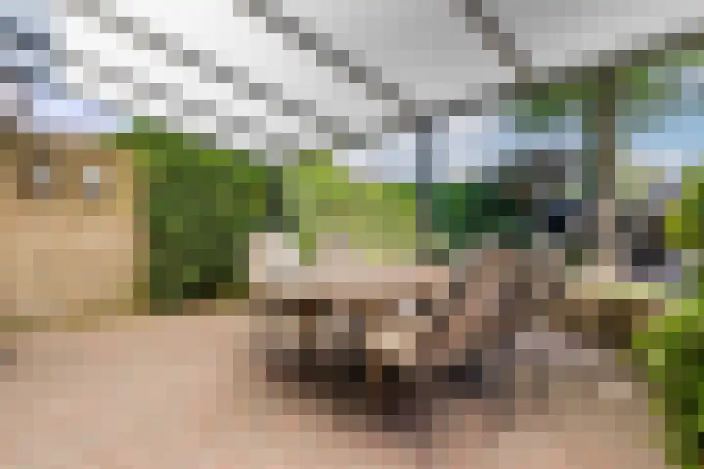 Barbaradal 28 Valkenswaard thumbnail 30