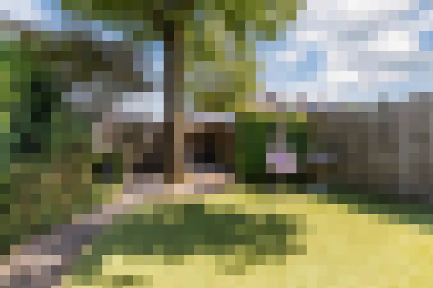 Barbaradal 28 Valkenswaard thumbnail 32