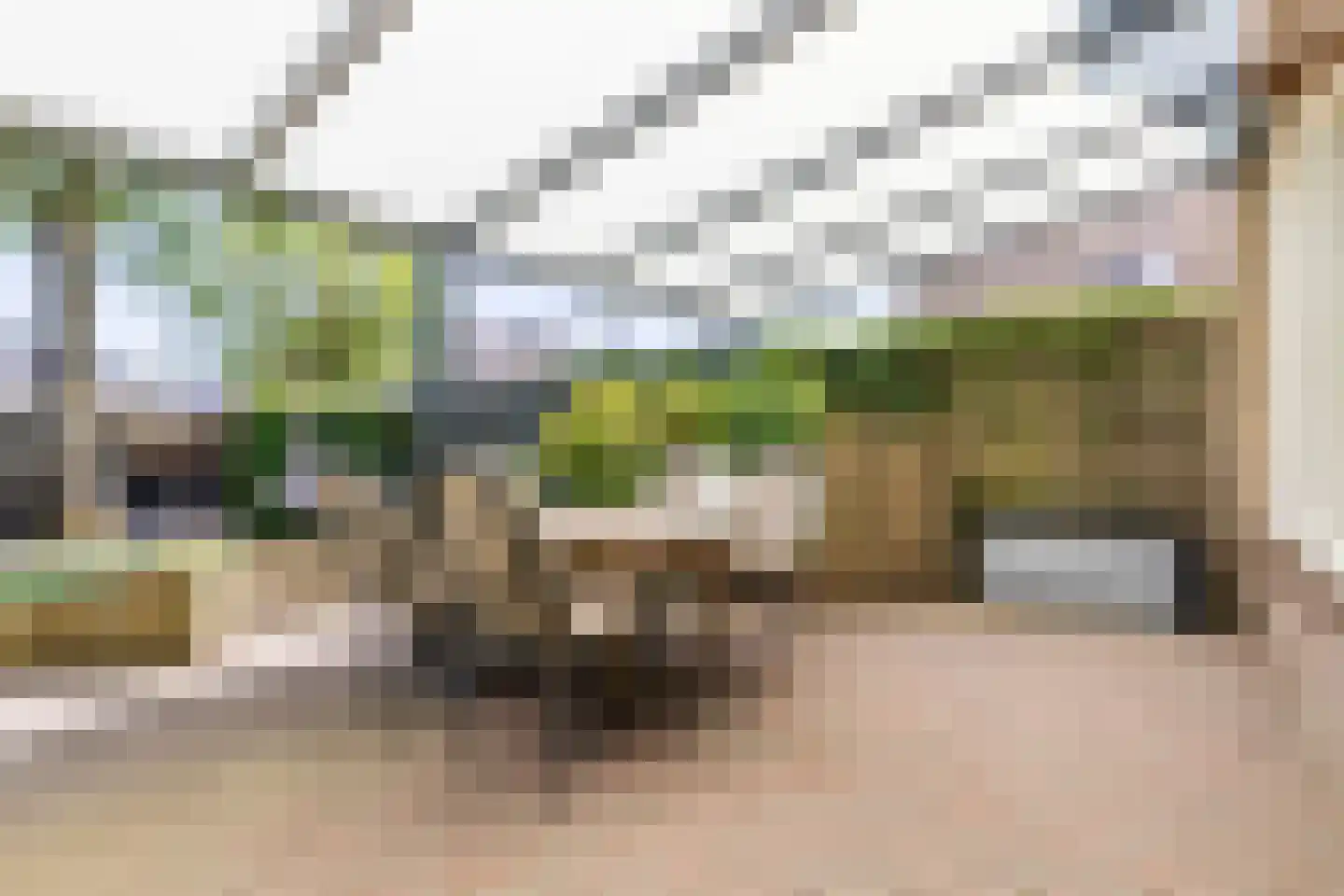 Barbaradal 28 Valkenswaard thumbnail 35