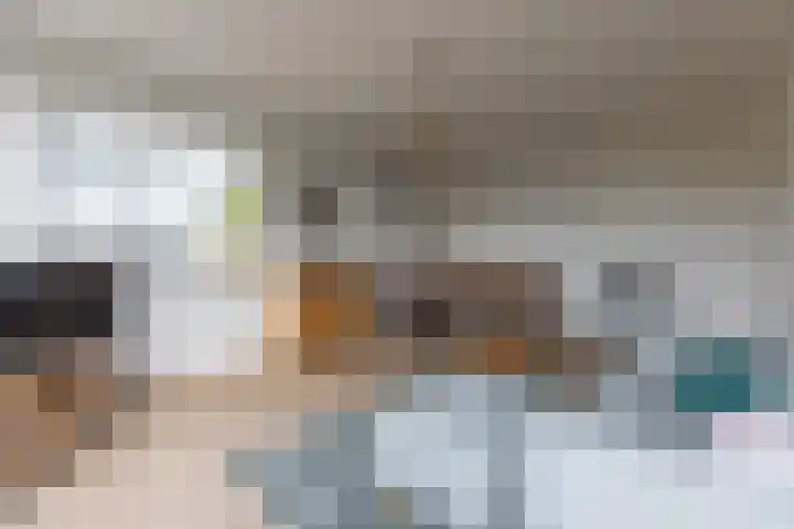 Barbaragaarde 14 Bussum thumbnail 13
