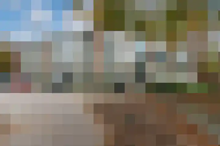 Barbaragaarde 14 Bussum thumbnail 19
