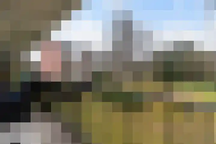 Barbaragaarde 29 Bussum thumbnail 10