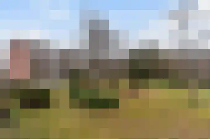 Barbaragaarde 29 Bussum thumbnail 11
