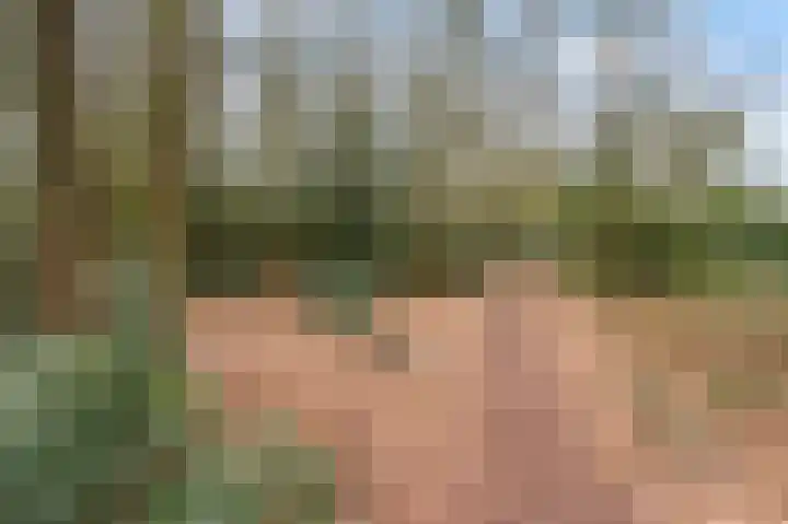 Barbaragaarde 29 Bussum thumbnail 22