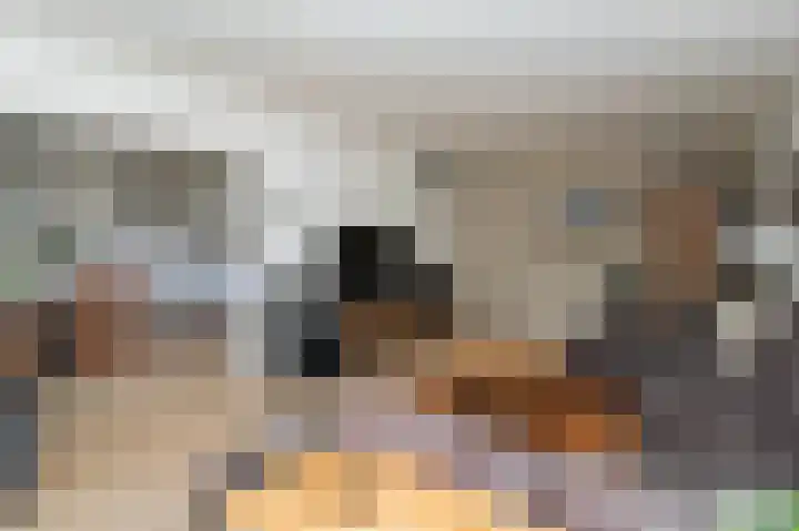 Barbaragaarde 29 Bussum thumbnail 4