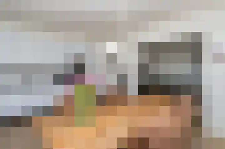 Barbaragaarde 29 Bussum thumbnail 7