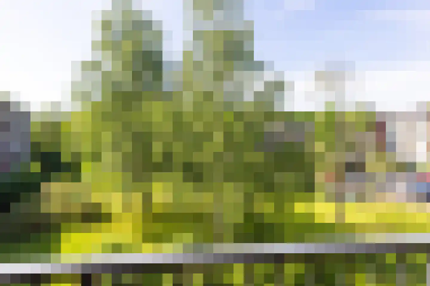 Barbaragaarde 41 Bussum thumbnail 19
