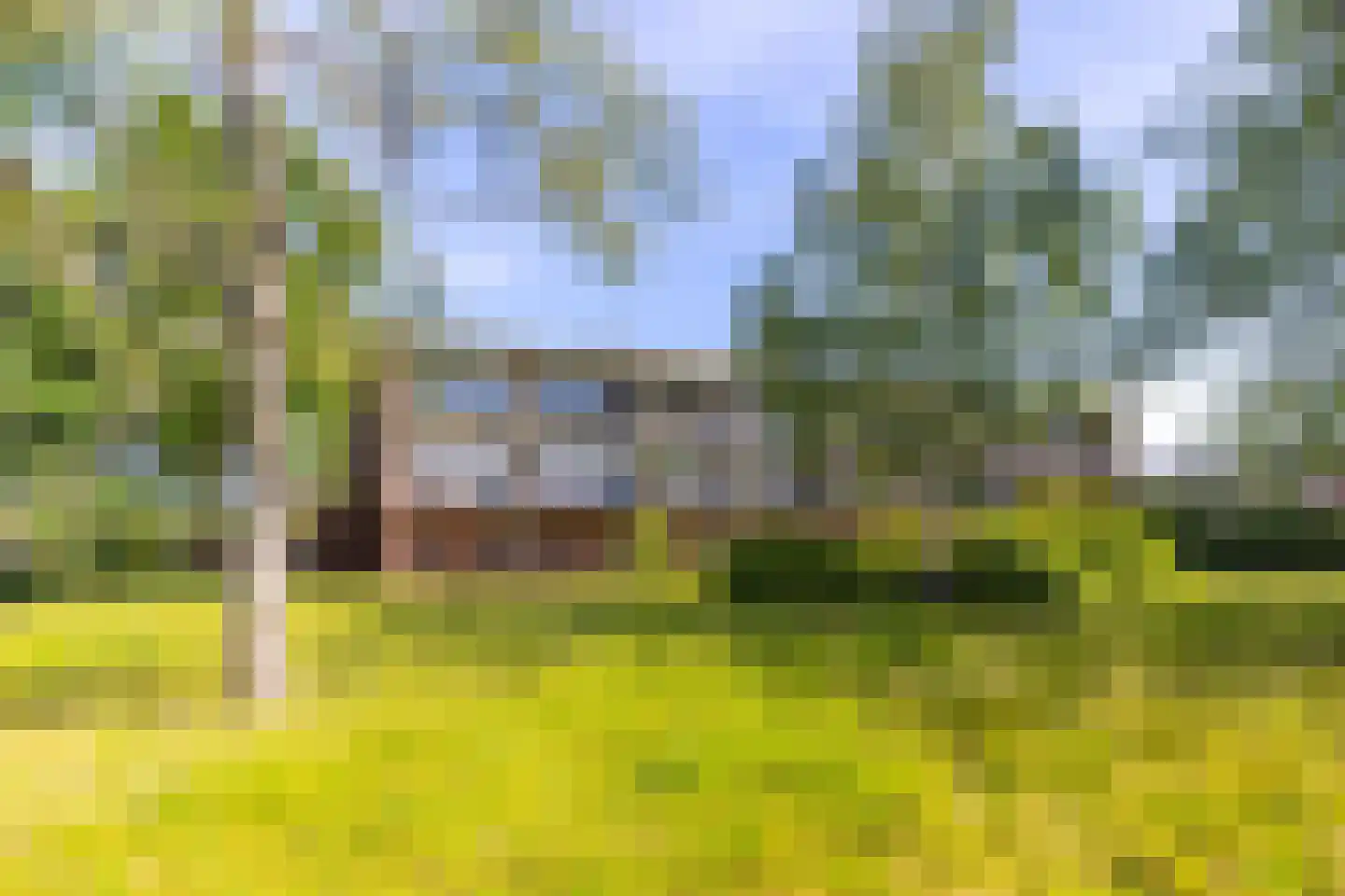 Barbaragaarde 41 Bussum thumbnail 22