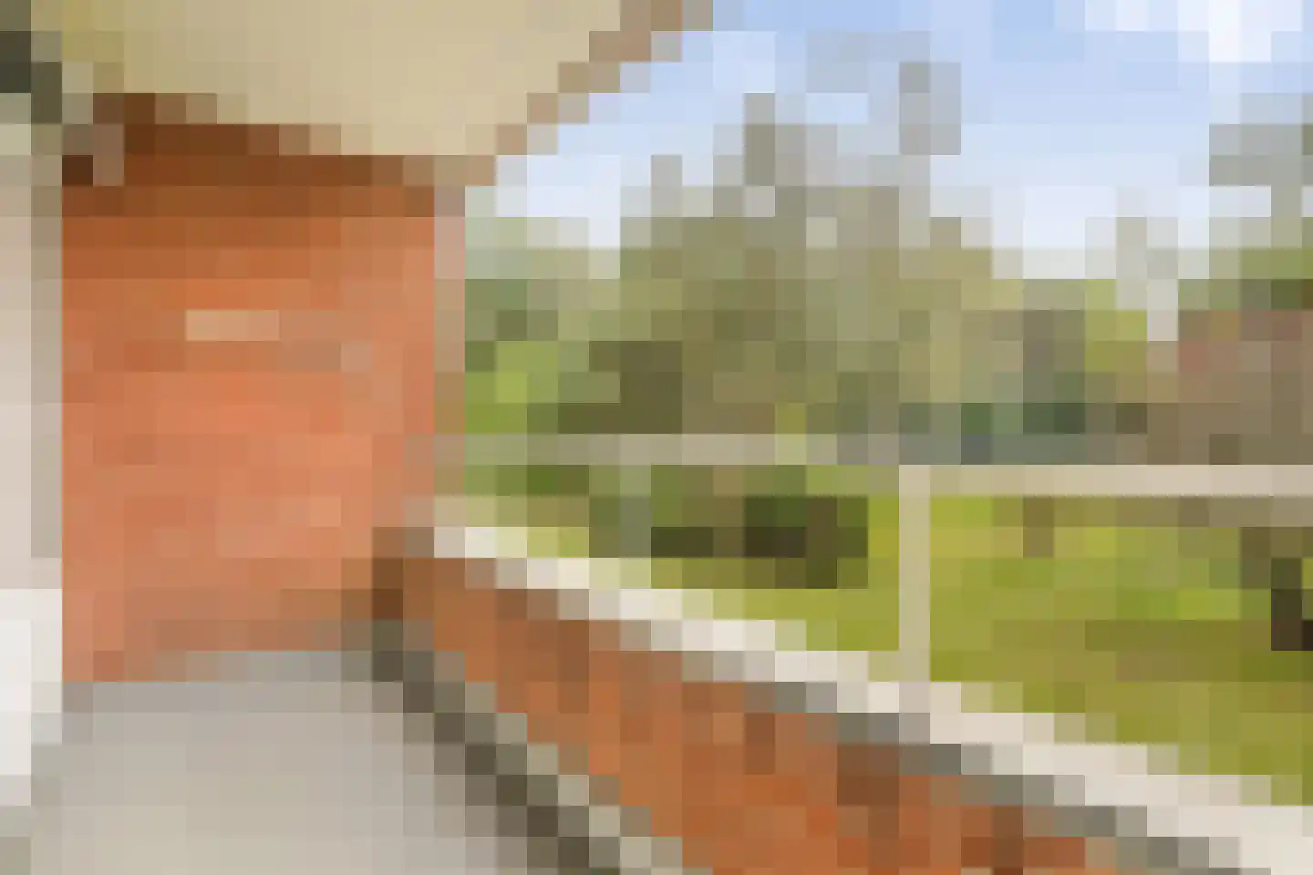 Barbaragaarde 42 Bussum thumbnail 4