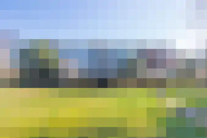 Barbaragaarde 54 Bussum thumbnail 31