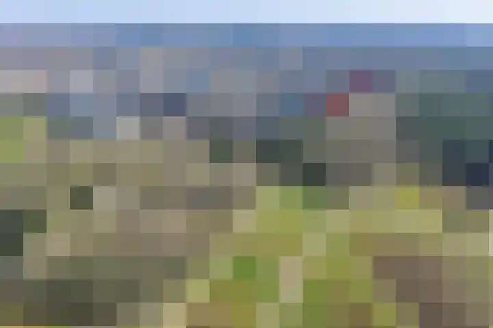 Barbaragaarde 54 Bussum thumbnail 34