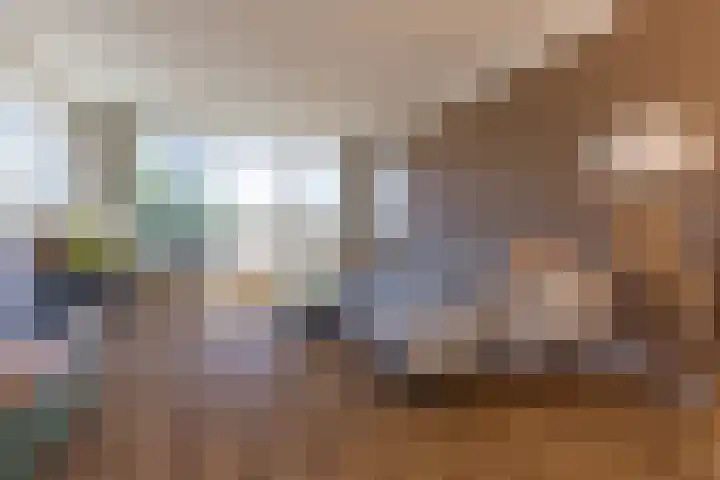 Barbaragaarde 54 Bussum thumbnail 4
