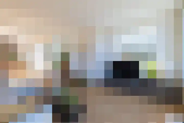 Barbaragaarde 54 Bussum thumbnail 9