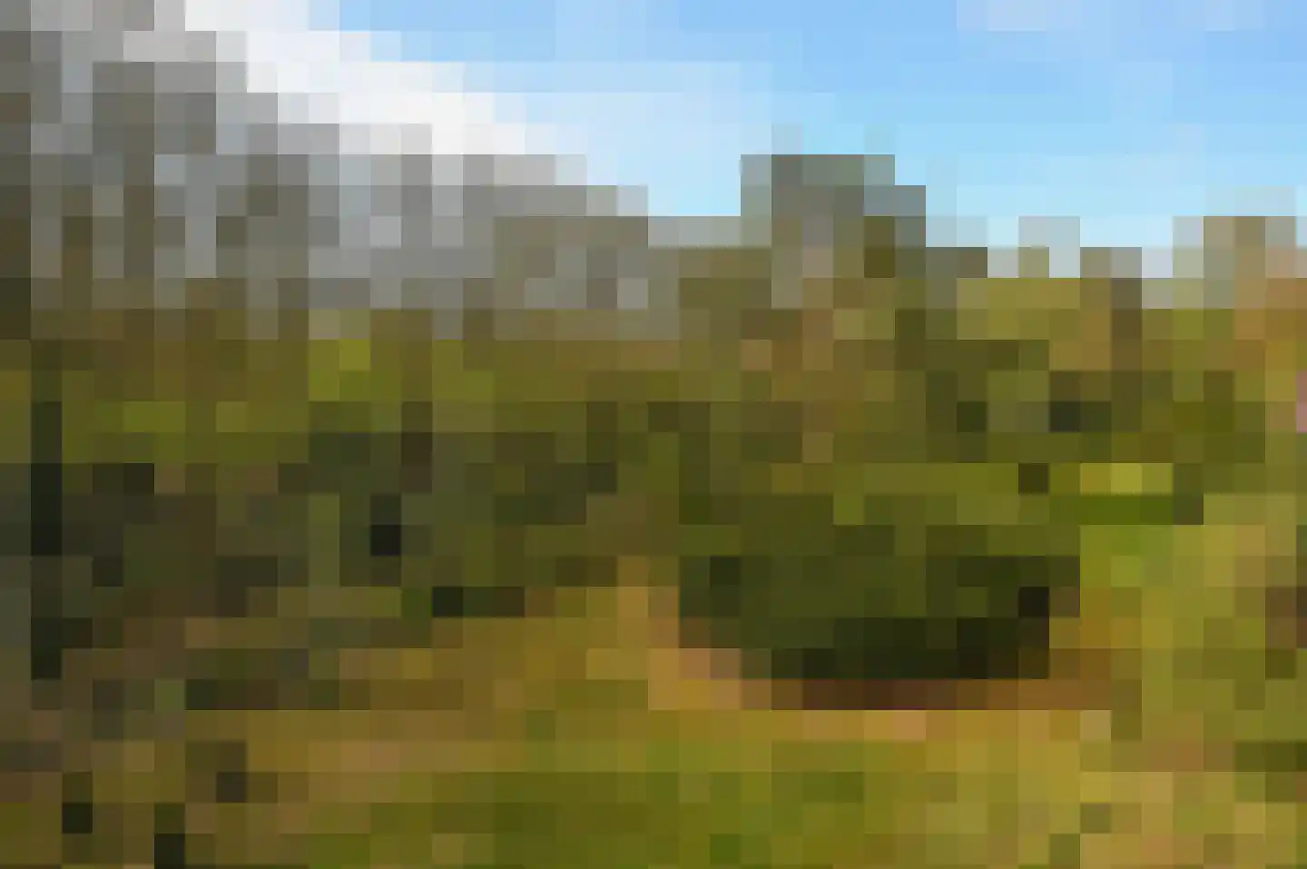 Barbaragaarde 72 Bussum thumbnail 13