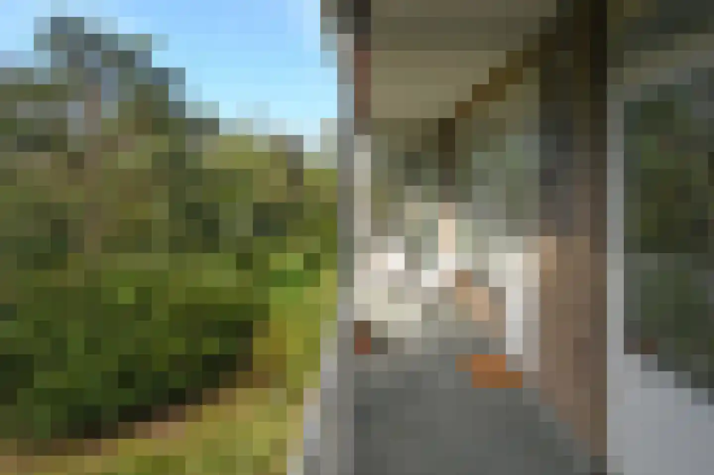 Barbaragaarde 72 Bussum thumbnail 4