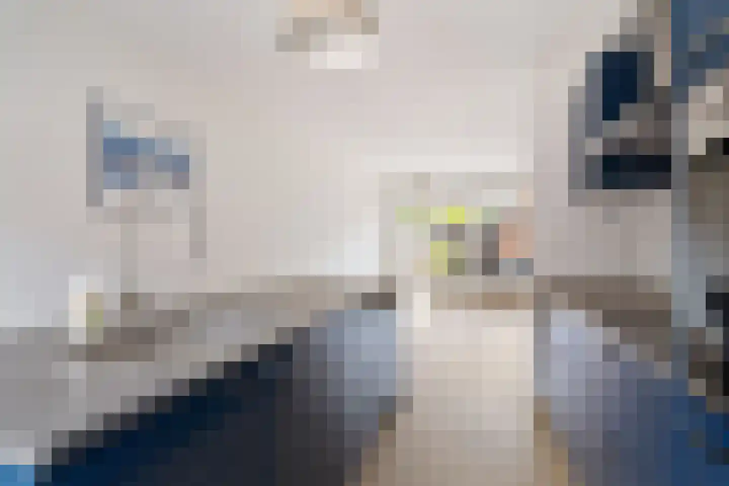Barbaragang 8 Zoetermeer thumbnail 20