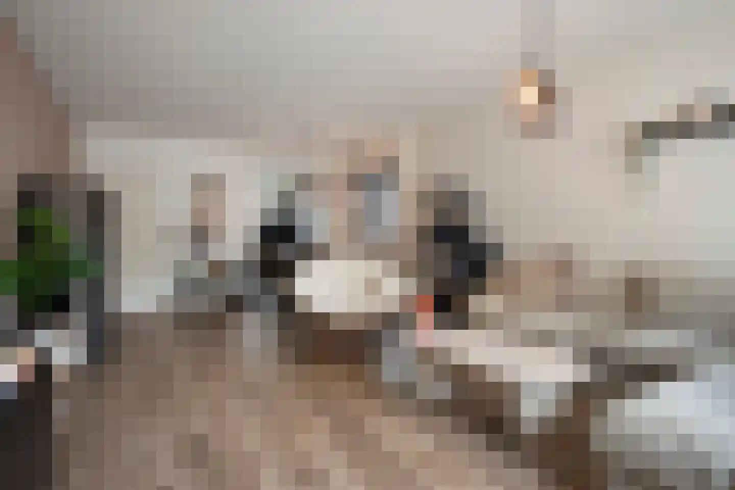 Barbarahof 8 Born thumbnail 13