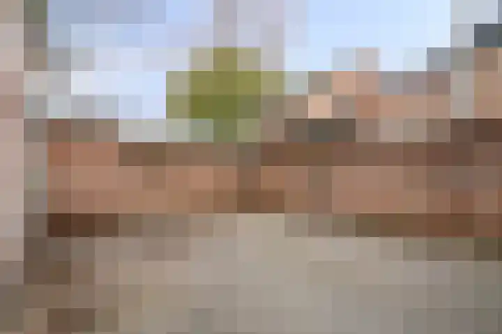 Barbarahof 9 Born thumbnail 18