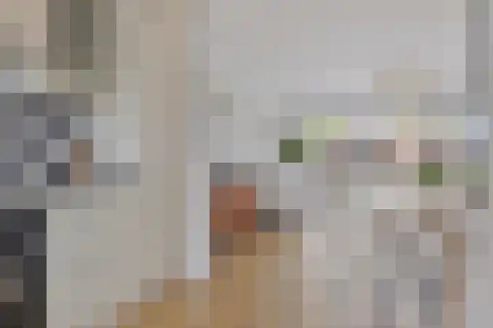 Barbarakruid 11 Nieuwerkerk aan den IJssel thumbnail 13