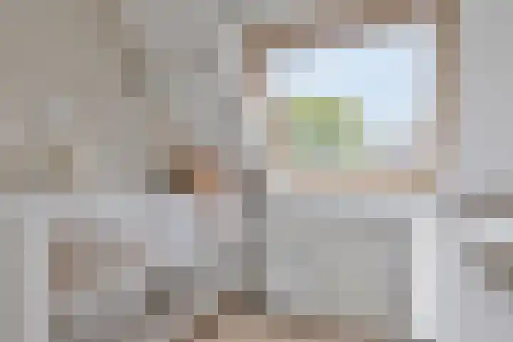 Barbarakruid 11 Nieuwerkerk aan den IJssel thumbnail 18