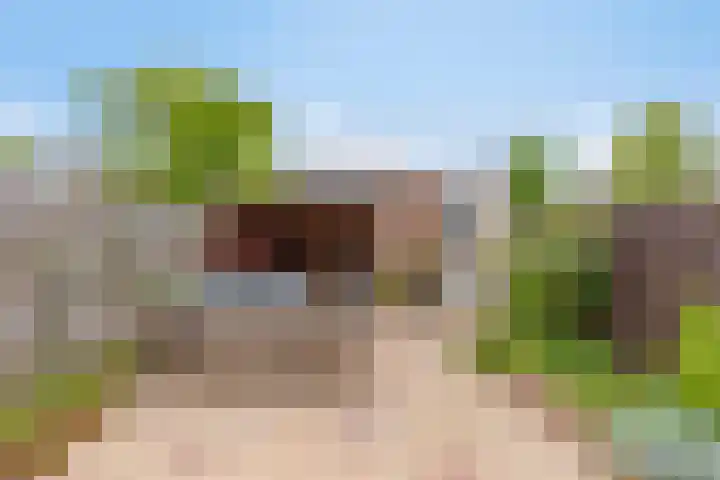 Barbarakruid 11 Nieuwerkerk aan den IJssel thumbnail 20