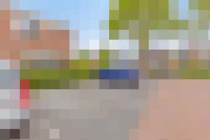 Barbarakruid 11 Nieuwerkerk aan den IJssel thumbnail 22