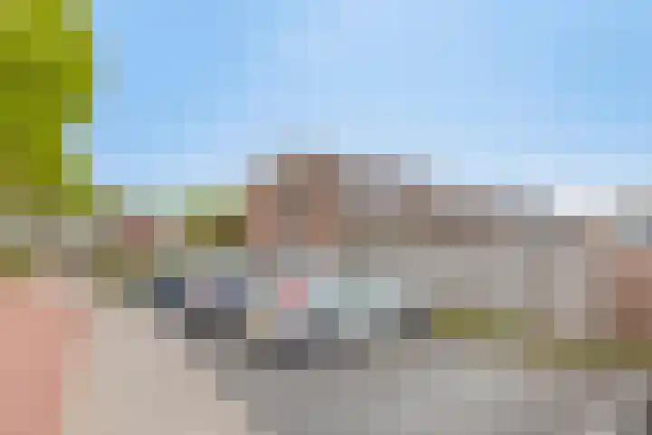 Barbarakruid 11 Nieuwerkerk aan den IJssel thumbnail 23
