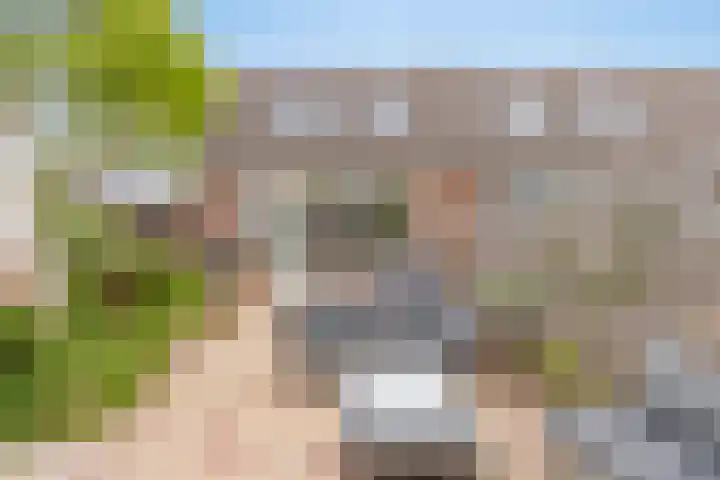 Barbarakruid 11 Nieuwerkerk aan den IJssel thumbnail 28