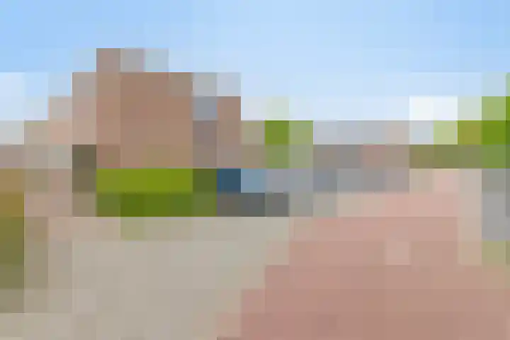 Barbarakruid 11 Nieuwerkerk aan den IJssel thumbnail 4