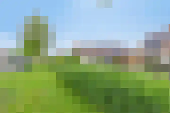 Barbarakruid 11 Nieuwerkerk aan den IJssel thumbnail 6