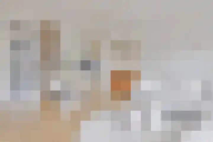 Barbarakruid 11 Nieuwerkerk aan den IJssel thumbnail 8