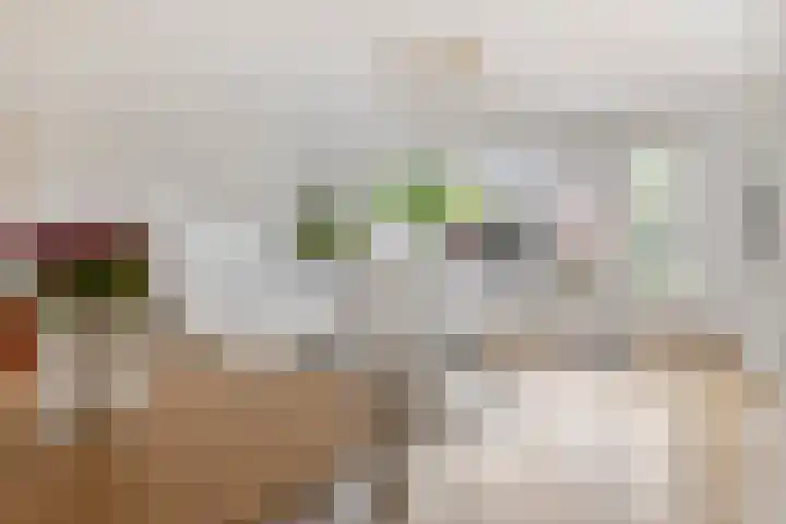 Barbarakruid 11 Nieuwerkerk aan den IJssel thumbnail 9