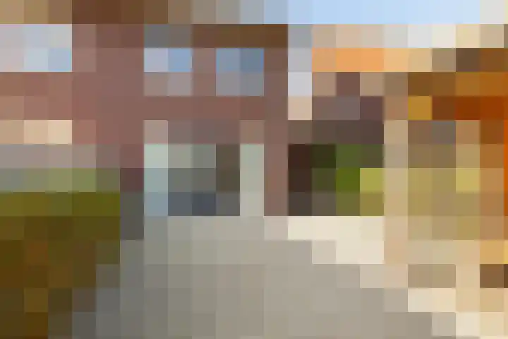 Barbarakruid 27 Puttershoek thumbnail 23