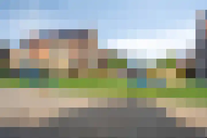 Barbarakruid 27 Puttershoek thumbnail 25