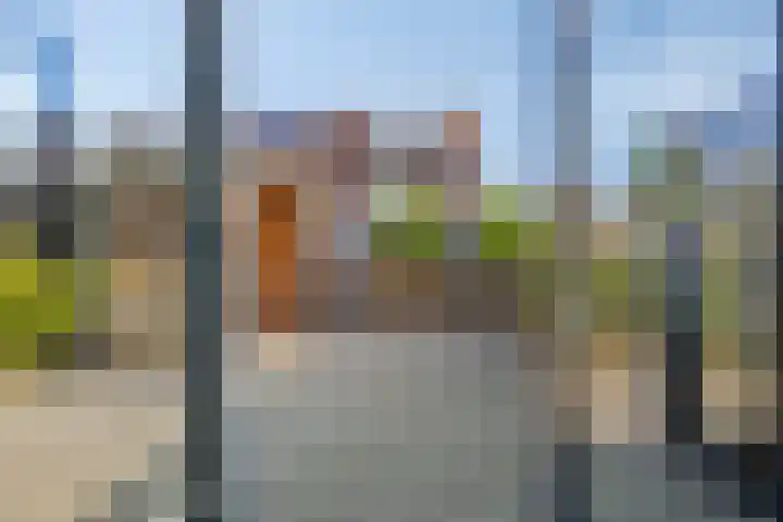 Barbarakruid 27 Puttershoek thumbnail 5