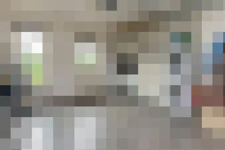 Barbarakruid 8 Puttershoek thumbnail 31